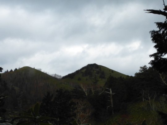 画像20